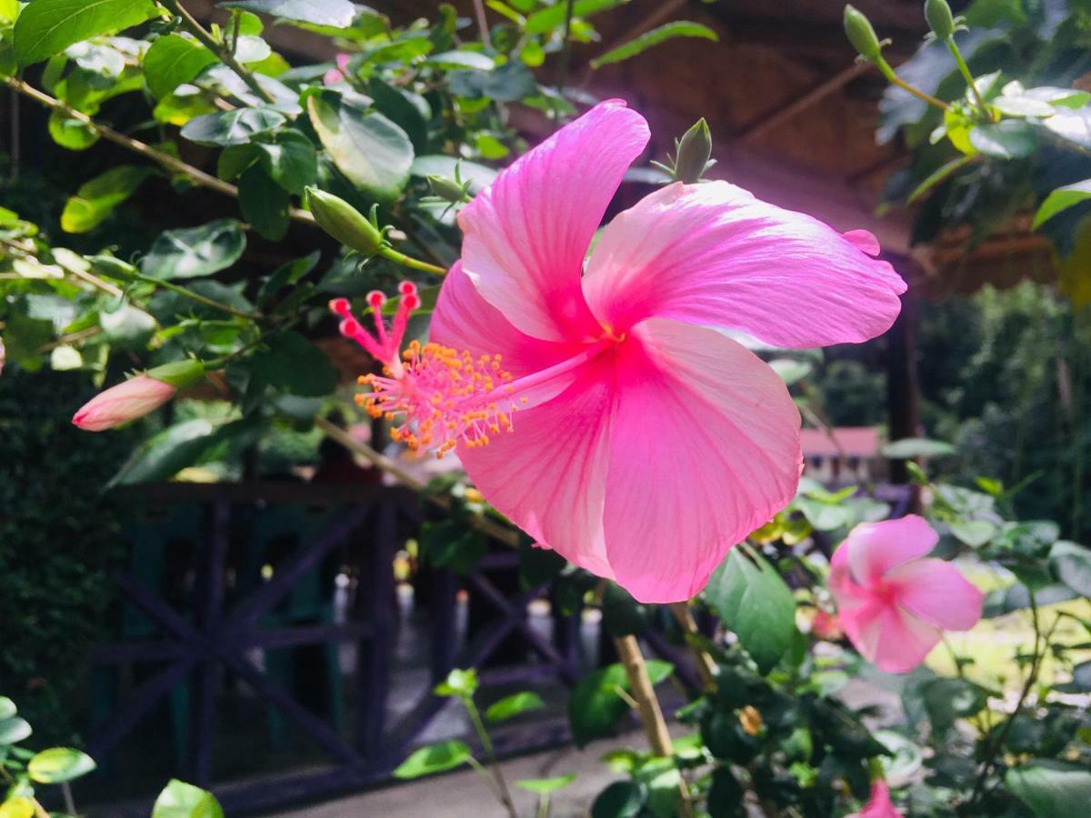 Sahnan Guest House Букит Лаванг Екстериор снимка